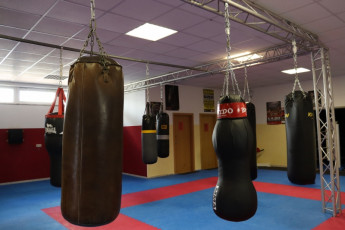 13C05647-28B5-4591-9C23-ABEF23D78B34