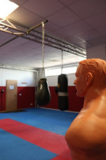 81406926-03D8-4DAB-B4AF-D70571167A01