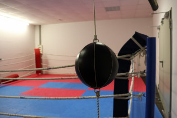 A6577378-022E-45F7-9F16-B0FE15D0214C